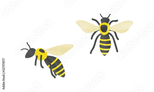 Simple watercolor bee vector illustration isolated on white background. Cute flying bees clipart. Bumblebee hand drawn cartoon style. Garden insect drawing vector illustration