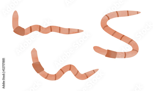 Simple earthworm watercolor hand drawn painting isolated on white background. Garden earthworm clipart. Earthworm vector design illustration. Garden creature clipart cartoon