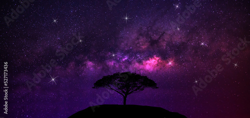 Lonely tree and white elephant at night with old trees on the hillside In the middle of the milky way in the starry sky, guard hill, beautiful cosmic space background with starry sky galaxy and nature