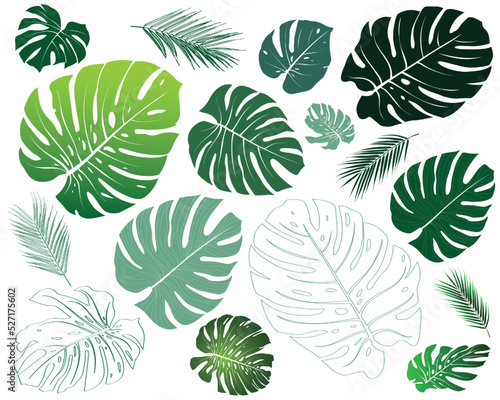 Summer, spring leaves set. Set of Tropical leaves. Green flat icon. vector, Isolated on white