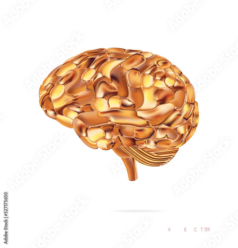 Gold brain isolated On White Background, vector. Mesh