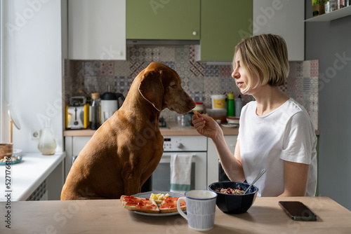Depressed middle-aged woman feeds Vizsla dog only friend sitting at table together in kitchen. Mature blonde female in white t-shirt enjoys moments spending with favourite dog. Domestic animal concept