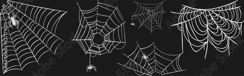 Fotografia spider web vector collection