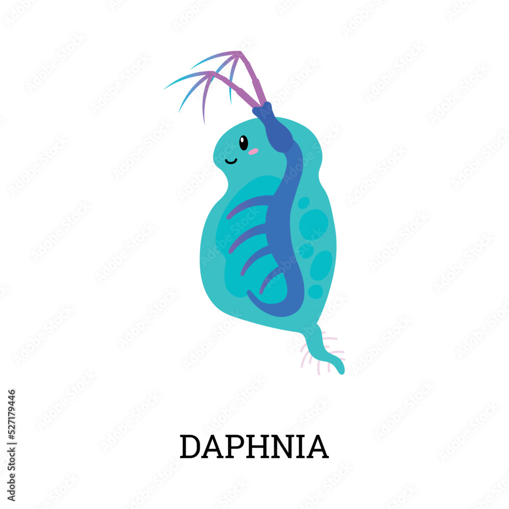 Daphnia underwater world tiny microorganism or animal, flat vector illustration. Daphnia underwater world tiny microorganism or animal, flat vector illustration.