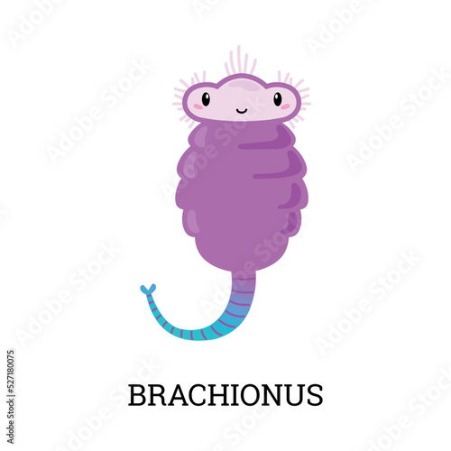 Brachionus purple cute cartoon character flat style, vector illustration