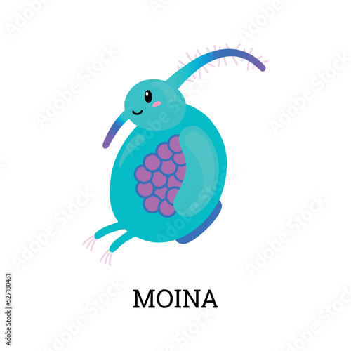 Moina crustacean microorganism or animal, flat vector illustration isolated.