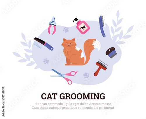 Cat grooming poster, cute cat with grooming equipment - flat vector illustration on white background.