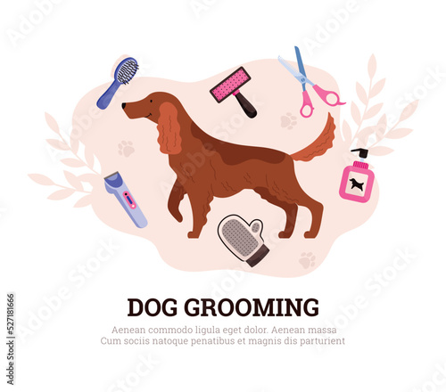 Dog grooming and cleaning the coat of pets, flat vector illustration isolated.