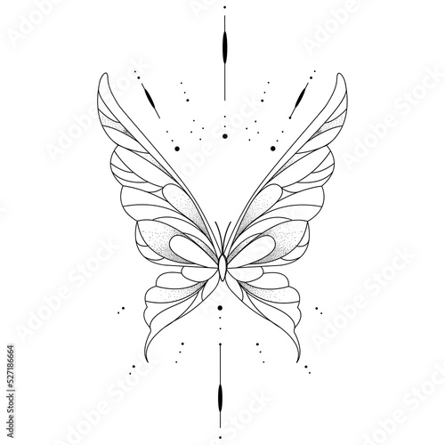 cute vector butterfly detailed tattoo sketch isolated