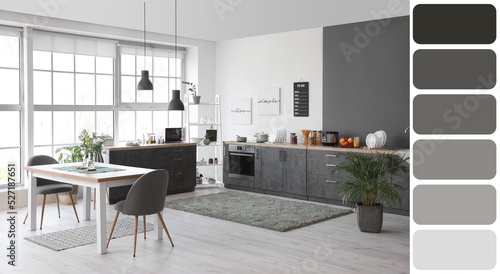 Interior of modern grey kit...