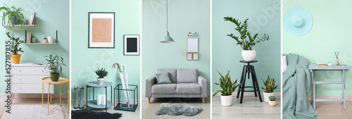 Fototapeta Collage of stylish domestic interiors near mint wall