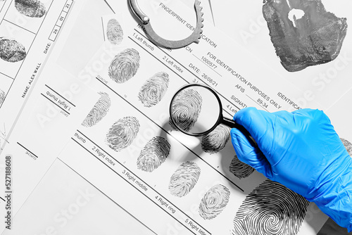 Forensic expert studying pr...
