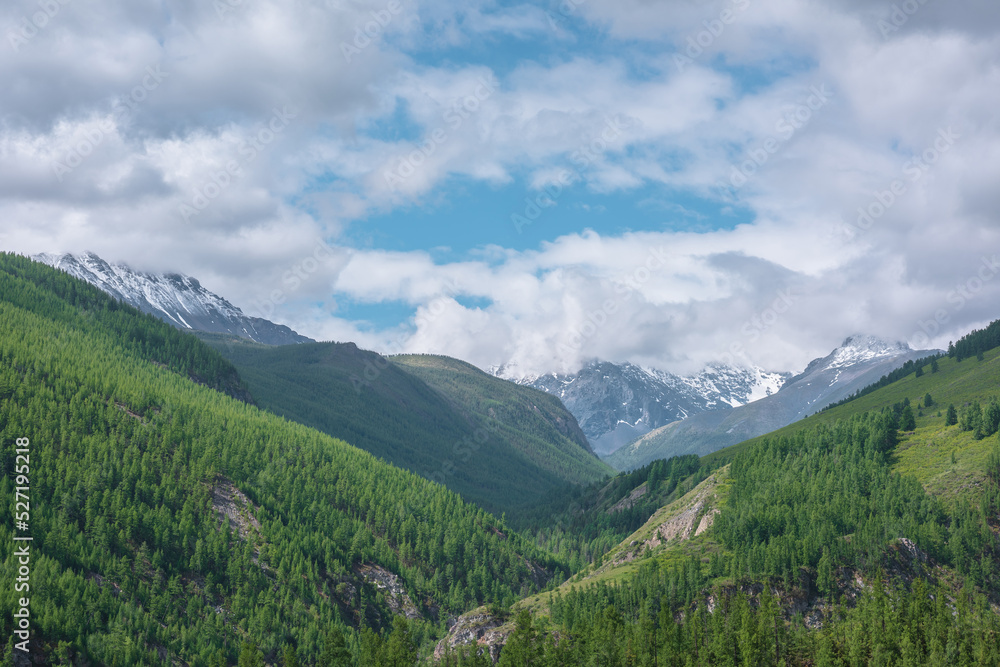 Atmospheric green landscape with sunlit forest hills and high snow mountains ​in low clouds. Beautiful mountain valley in sunlight and large snow mountain range under cloudy sky in changeable weather.