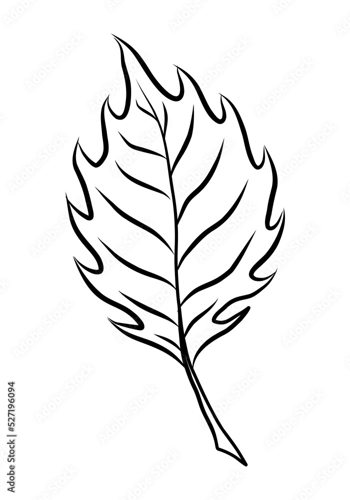 Fototapeta premium BLACK VECTOR ILLUSTRATION OF A LEAF ISOLATED ON A WHITE BACKGROUND