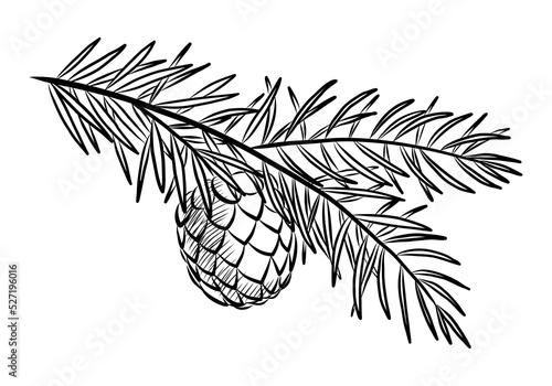 BLACK VECTOR ILLUSTRATION OF A PINE BRANCH WITH A CONE ISOLATED ON A WHITE BACKGROUND