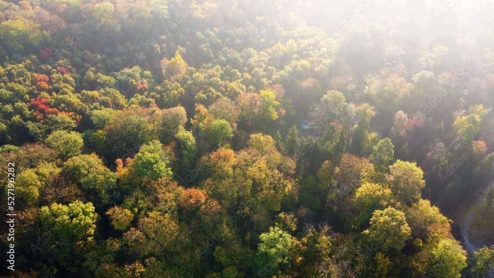 Aerial flying over trees with yellow leaves on an autumn sunny morning in a park. Bright sunlight, shining sunbeams rays and sun overexposure. Beautiful natural background. Aerial flying over trees with yellow leaves on an autumn sunny morning in a park. Bright sunlight, shining sunbeams rays and sun overexposure. Beautiful natural background.