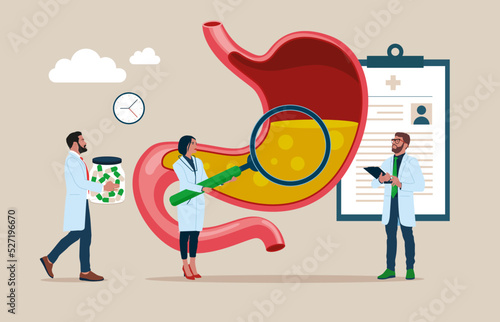 Medical specialists studying donor inner organ. Doctors examining checks stomach. Medicine, physiology and pharmacy research. Vector illustration.