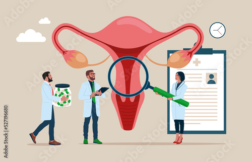 Medical specialists studying donor inner organ. Female doctor using magnifier to check uterus. Abstract concept of gynaecology and female health. Vector illustration