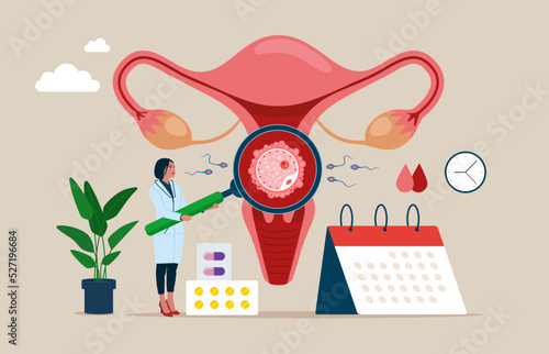 Woman doctor making uterus examination. Abstract concept of gynaecology and female health. Female doctor using magnifier to check uterus. Vector illustration