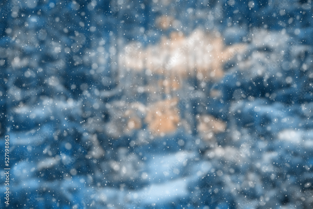 blurred winter forest blurred winter forest