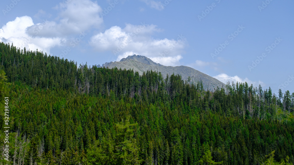 Hot summer day with light blue haze. Thick spruce forest. Mountain landscape with the huge rocky slopes of the High Tatras in Slovakia Hot summer day with light blue haze. Thick spruce forest. Mountain landscape with the huge rocky slopes of the High Tatras in Slovakia