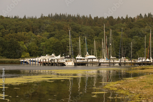 Bootsanleger am Wasser mit Segelbooten am Steg auf der Insel Rügen bei Ralswiek