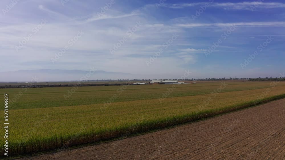 Low aerial shot flying over cropland in the Central Valley of California. 4K Low aerial shot flying over cropland in the Central Valley of California. 4K