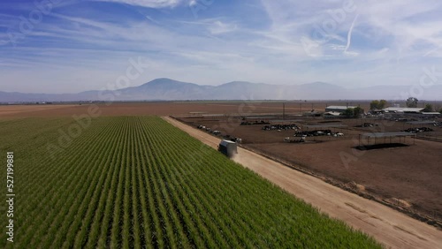 Aerial close-up shot following behind a truck as it drives down a dirt road at a food farm with cattle in the Central Valley of California. 4K photo