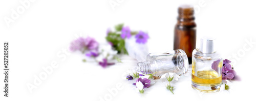 bottles of essential oil and colorful petals of flowers on white panoramic ba...