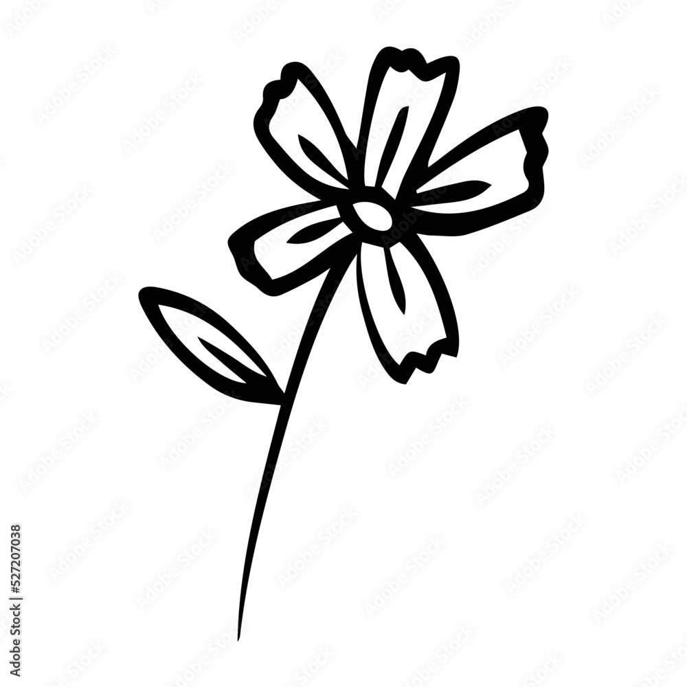 floral element
floral element