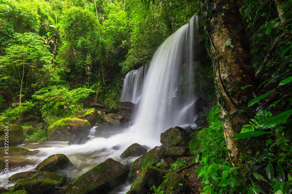 Obraz premium Beautiful waterfall in Phu Hin Rong Kla National Park, Phitsanulok province, ThaiLand.