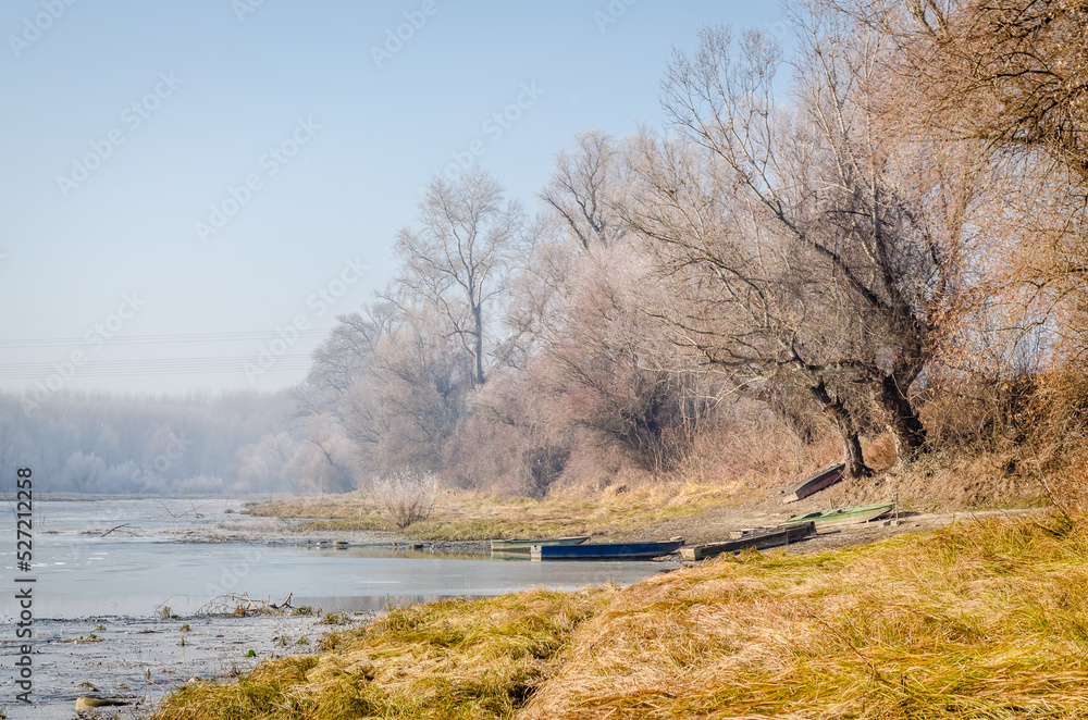 Landscape with snow covered trees and frozen water.