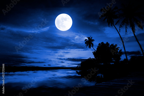 Obraz na płótnie Silhouette of coconut tree, river, and moonlight