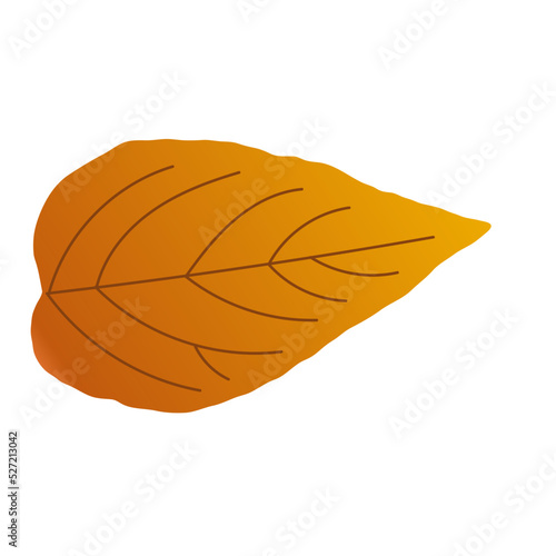 Autumn Dry Leaves © faradillah