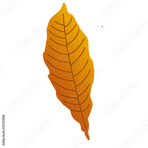 Autumn Dry Leaves