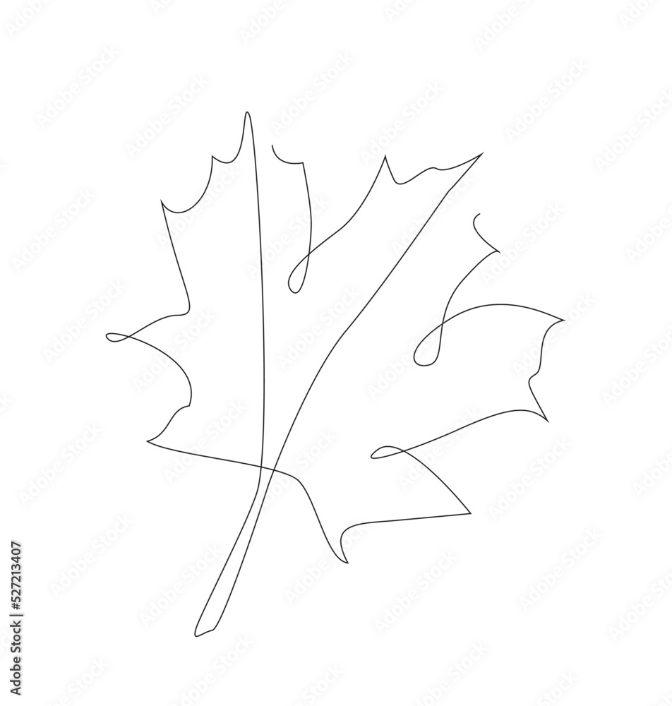 Naklejka premium line art maple leaves. outline vector. Autumn leaf one line illustration.