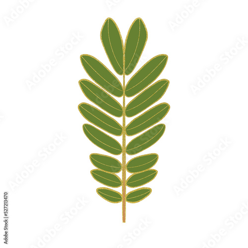 Green leaves with golden line border.