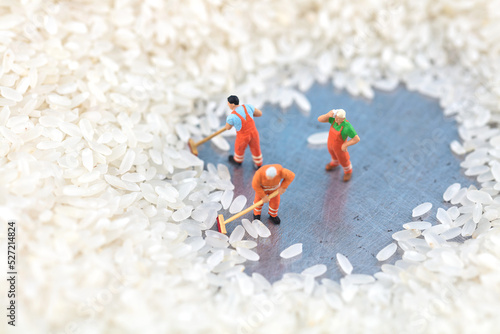 Miniature photography collection of fresh rice
