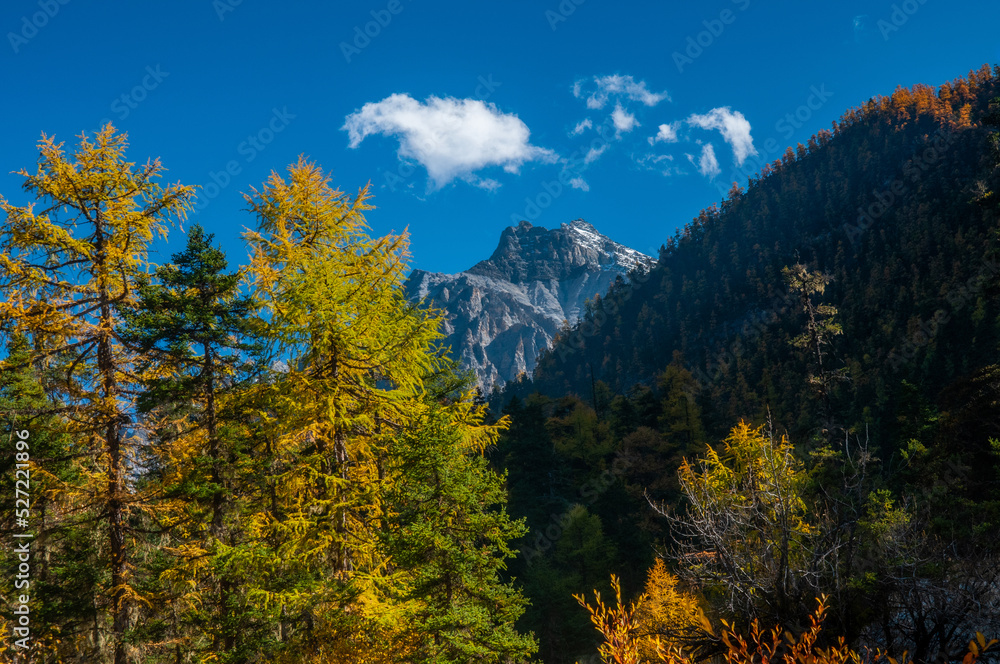 Autumn scenery in Yading Nature Reserve, Daocheng county, Ganzi Tibetan Autonomous Prefecture, Sichuan province of China.