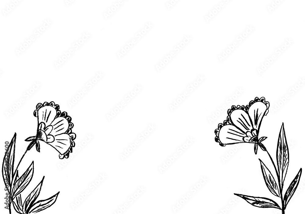 Fototapeta premium Beautiful decorative flowers in black on a white background in the form of a frame