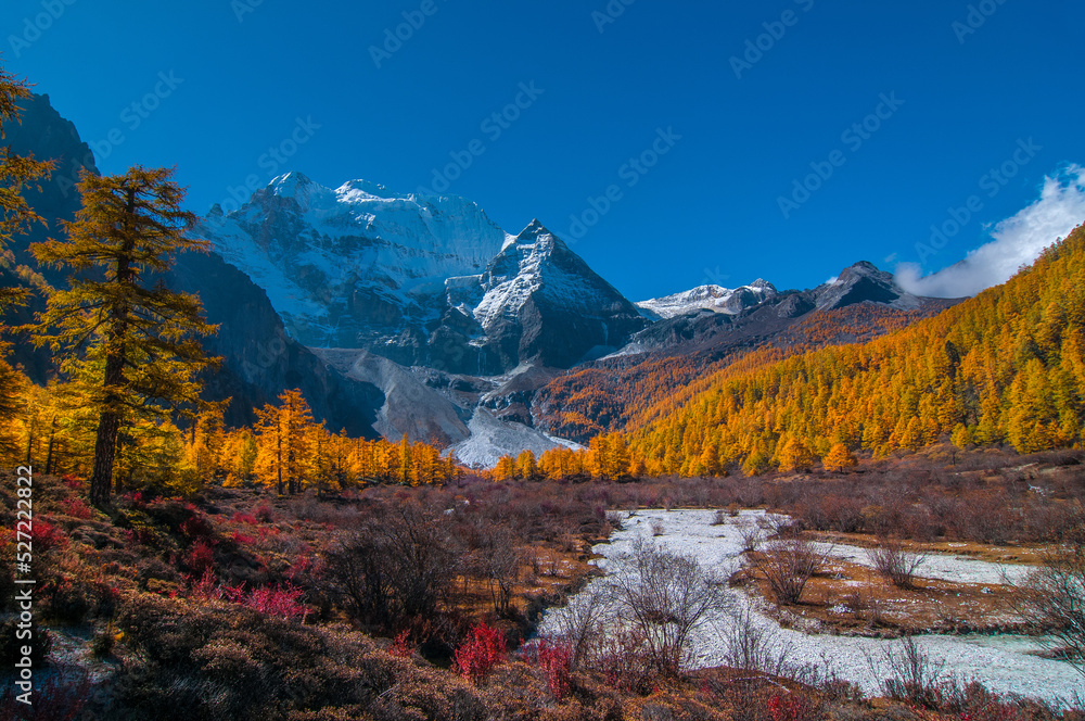 Fototapeta premium Autumn scenery in Yading Nature Reserve, Daocheng county, Ganzi Tibetan Autonomous Prefecture, Sichuan province of China.