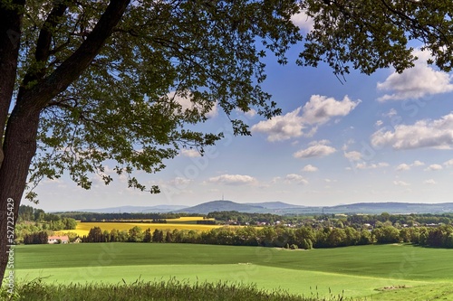 Panoramic view of rapeseed field during the springtime photo