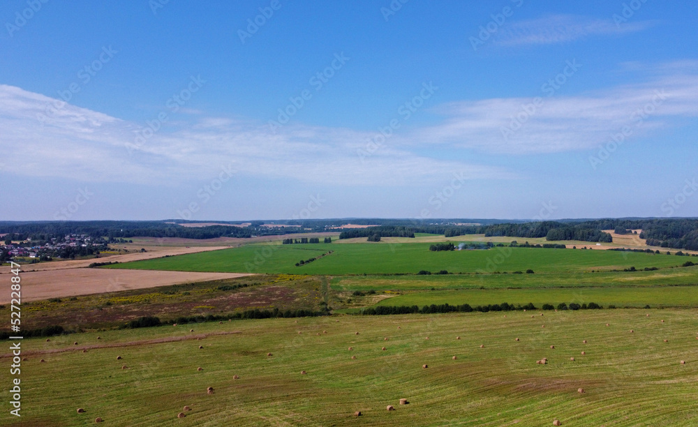 Aerial view of agro rural fields. Harvesting on the farm landscape