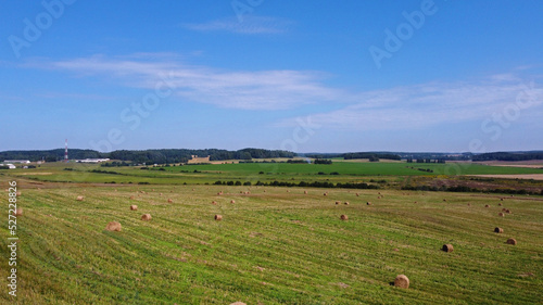 Aerial view of agro rural fields. Harvesting on the farm landscape