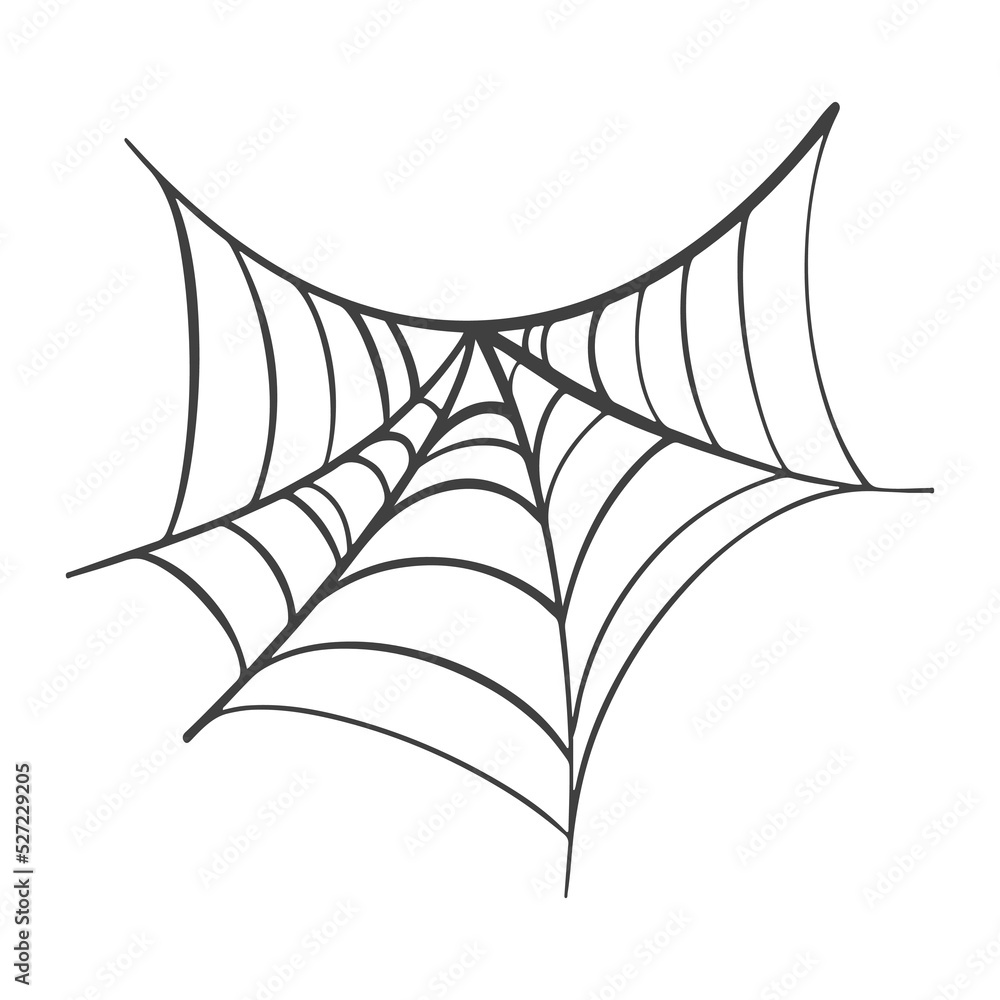 Fototapeta premium Vector Spider web on white for halloween.