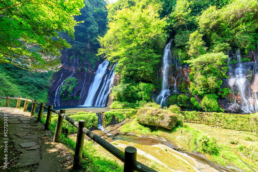 Fototapeta premium 夏の白水の滝 大分県竹田市 Shiramizu Waterfall in Summer. Ooita-ken Takeda city.