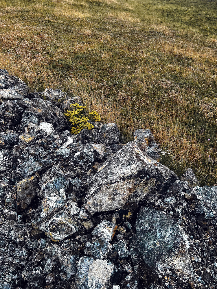 Zlatibor region landscape detail, dark rocks and dry grass as natural background Zlatibor region landscape detail, dark rocks and dry grass as natural background