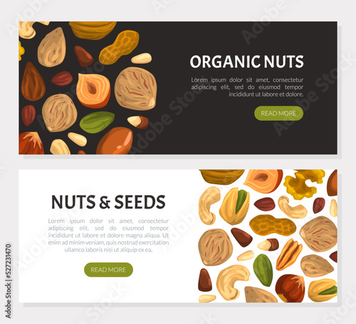 Landing Page with Nuts and Seeds Vector Web Banner Template