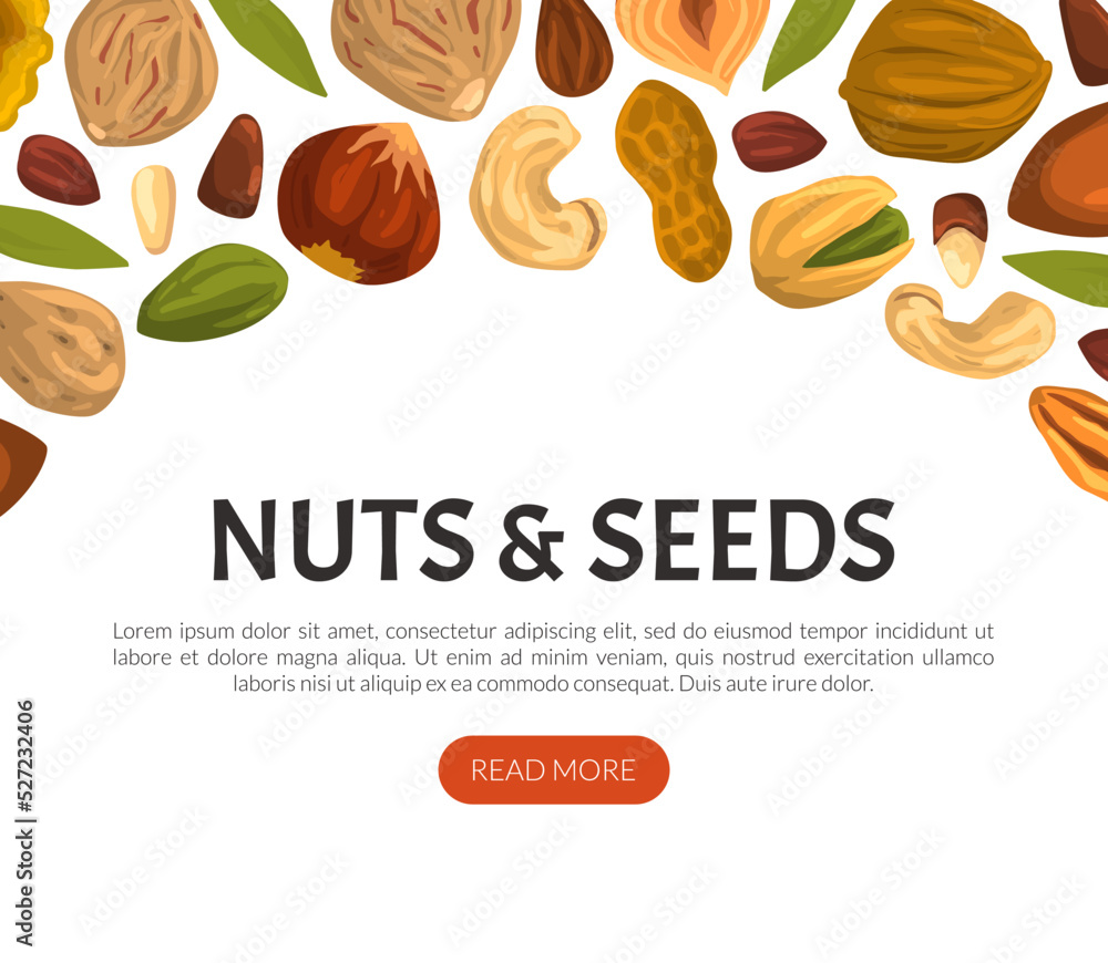 Landing Page with Nuts and Seeds Vector Web Banner Template