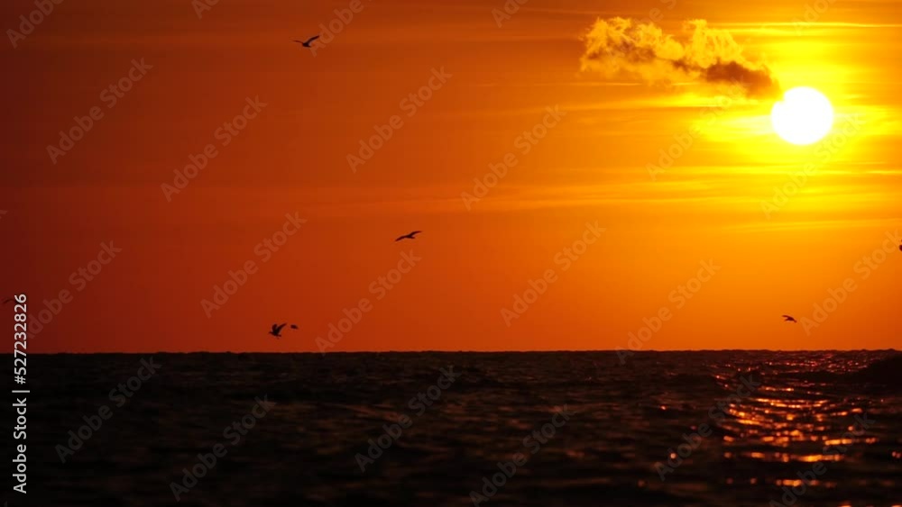 A flock of seagulls fly and fish in the sea. Warm sunset sky over the ocean, sun glare. Silhouettes of seagulls flying in slow motion away from the camera with the sea in the background at sunset. A flock of seagulls fly and fish in the sea. Warm sunset sky over the ocean, sun glare. Silhouettes of seagulls flying in slow motion away from the camera with the sea in the background at sunset.